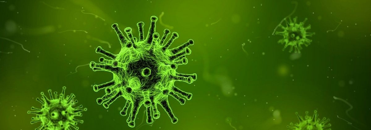 Bild mit Virus-Zellen
