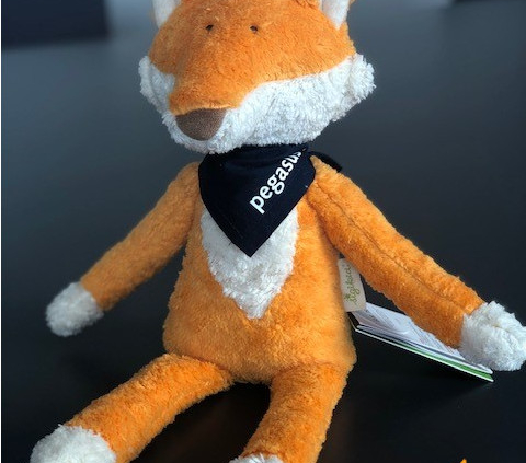 PegasusIT - PIT der Fuchs